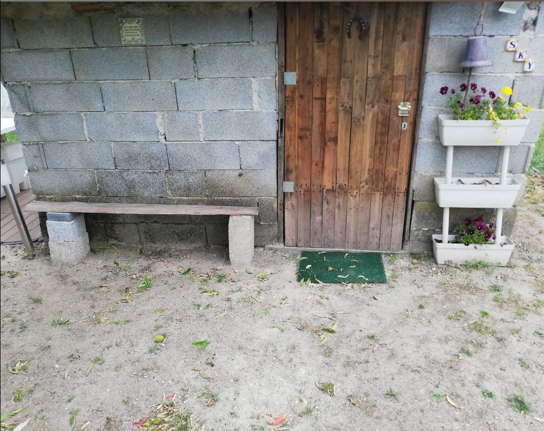 Terreno  em Carregal do Sal, com  luz, tanque e poço