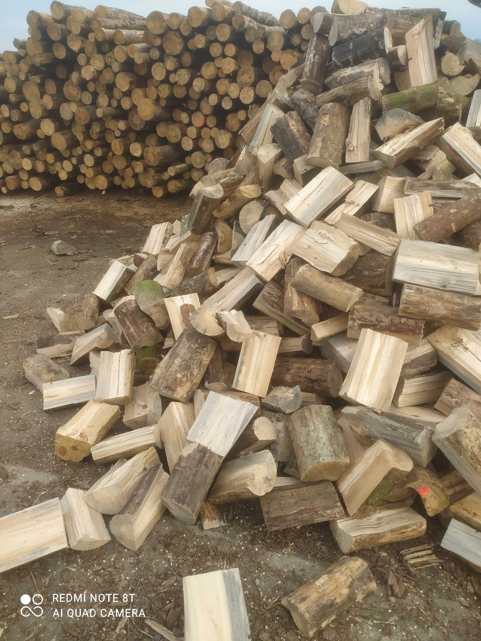 Drewno kominkowe sezonowane suche dąb brzoza. Drewno na ognisko