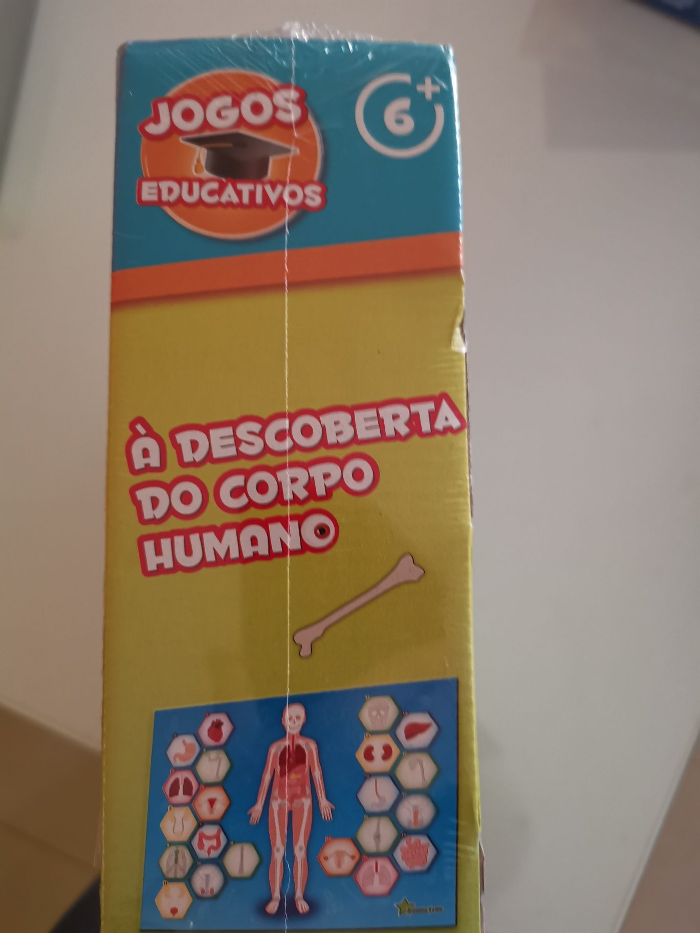 Jogo NOVO Corpo Humano