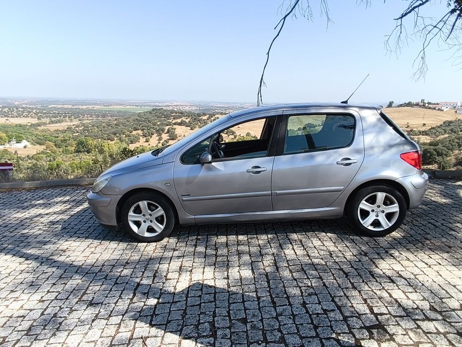 Pegueot 307 1.6 110 cv