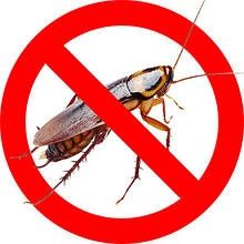 Обробка приміщень від шкідників