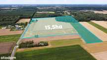 Działka inwestycyjna 15,5 ha – S19, Międzyrzec, Siedlce, Biała Podl.