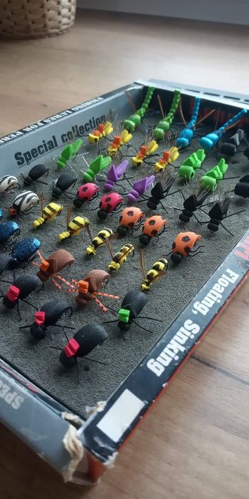 Muchy suche piankowce