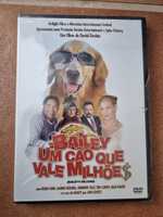 Dvd bailey um cão que vale milhões