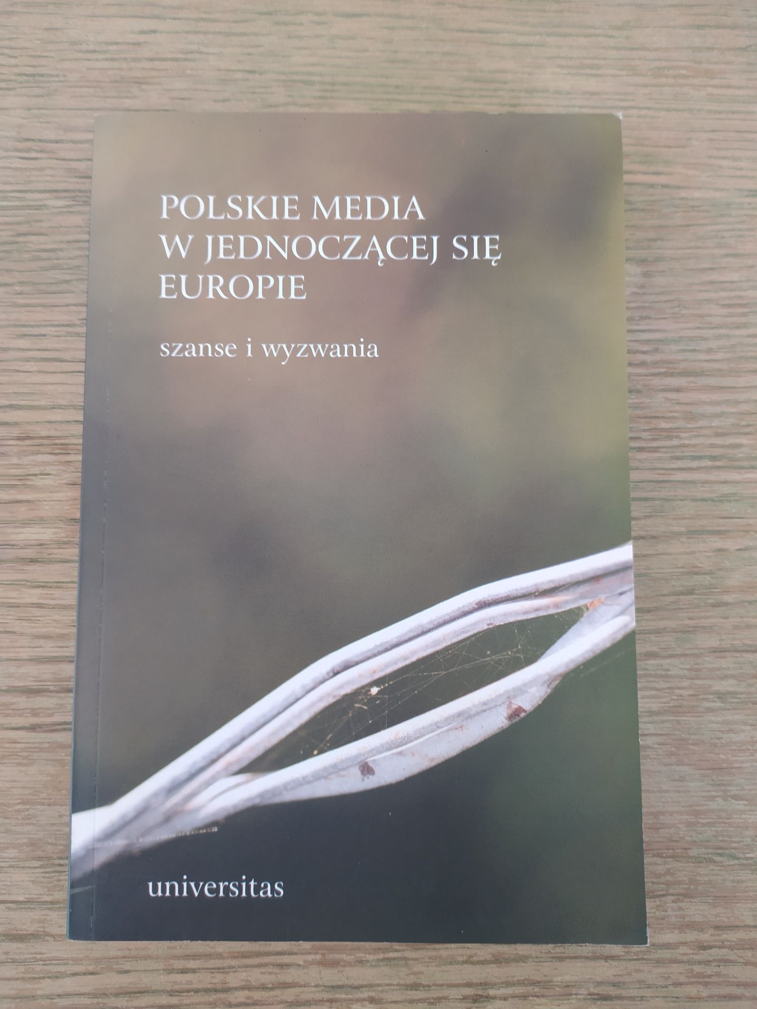 Polskie media w jednoczącej się Europie szanse i wyzwania