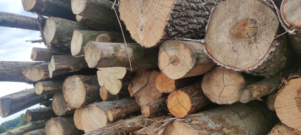 Drewno zrzyny kominkowe opałowe