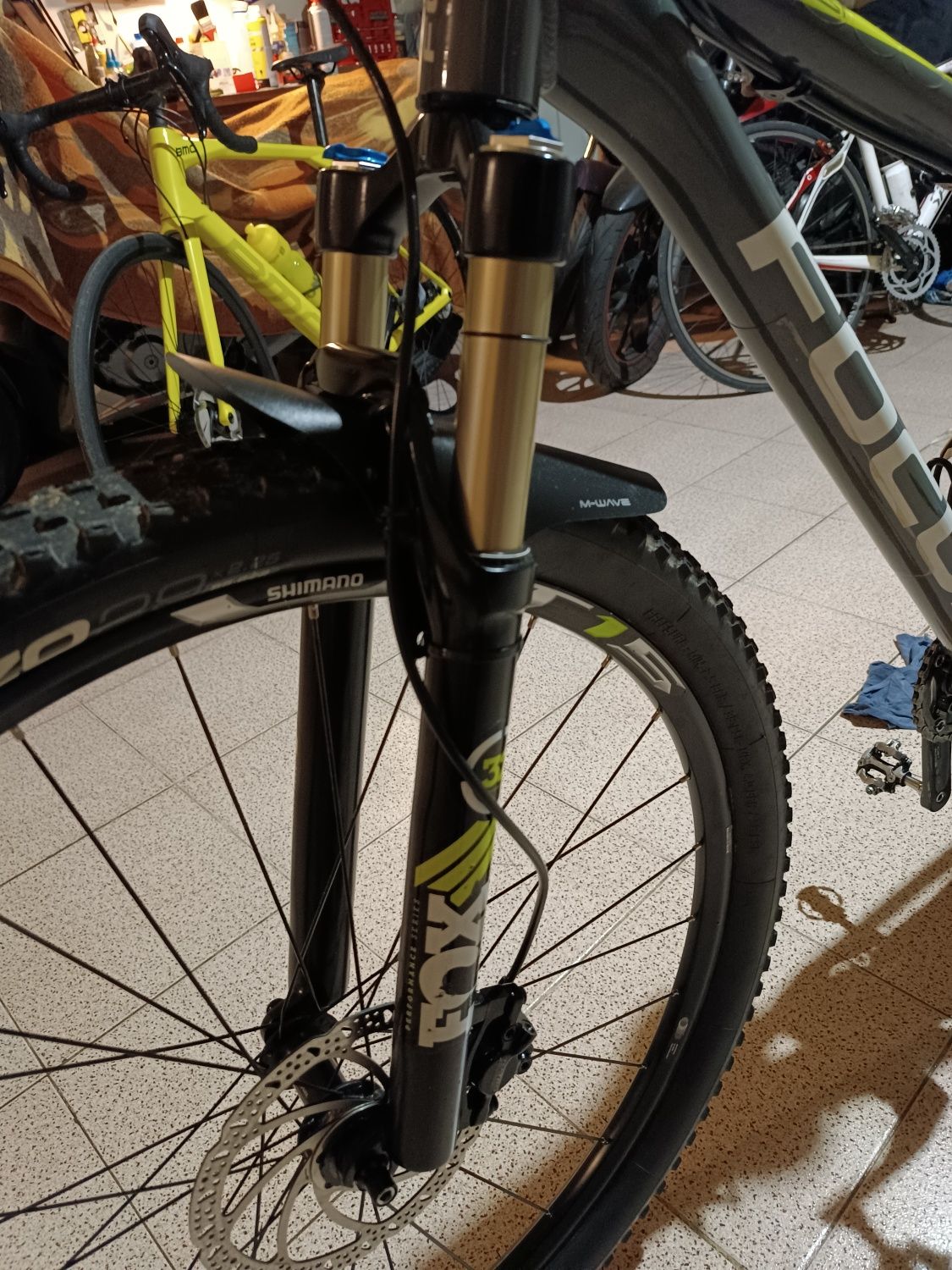 Bicicleta Focus Blackforest LTD