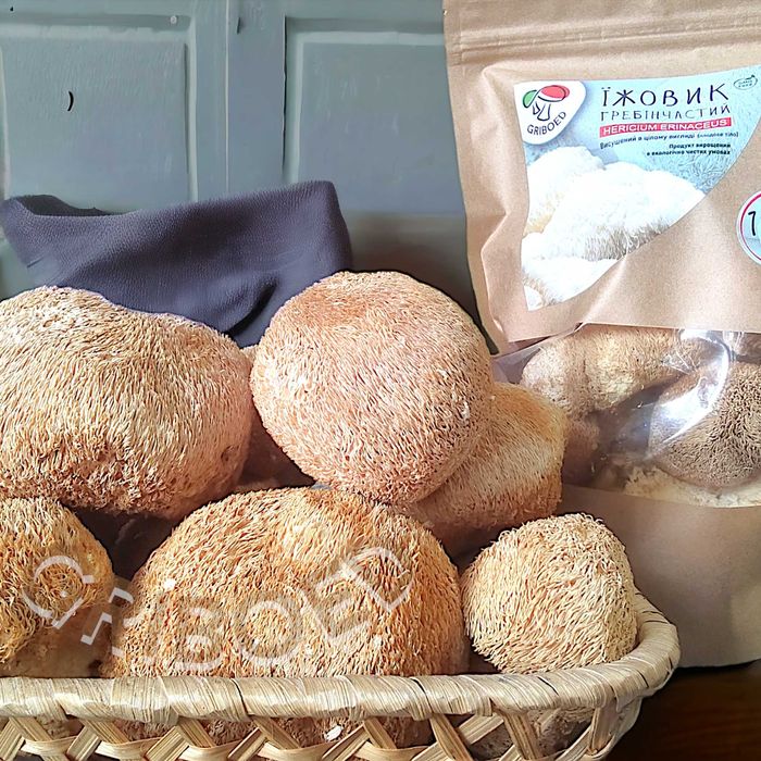 200 грамм - Ежевик гребенчатый. Сухой, в целом виде. ЛУЧШИЙ РЕЗУЛЬТАТ!