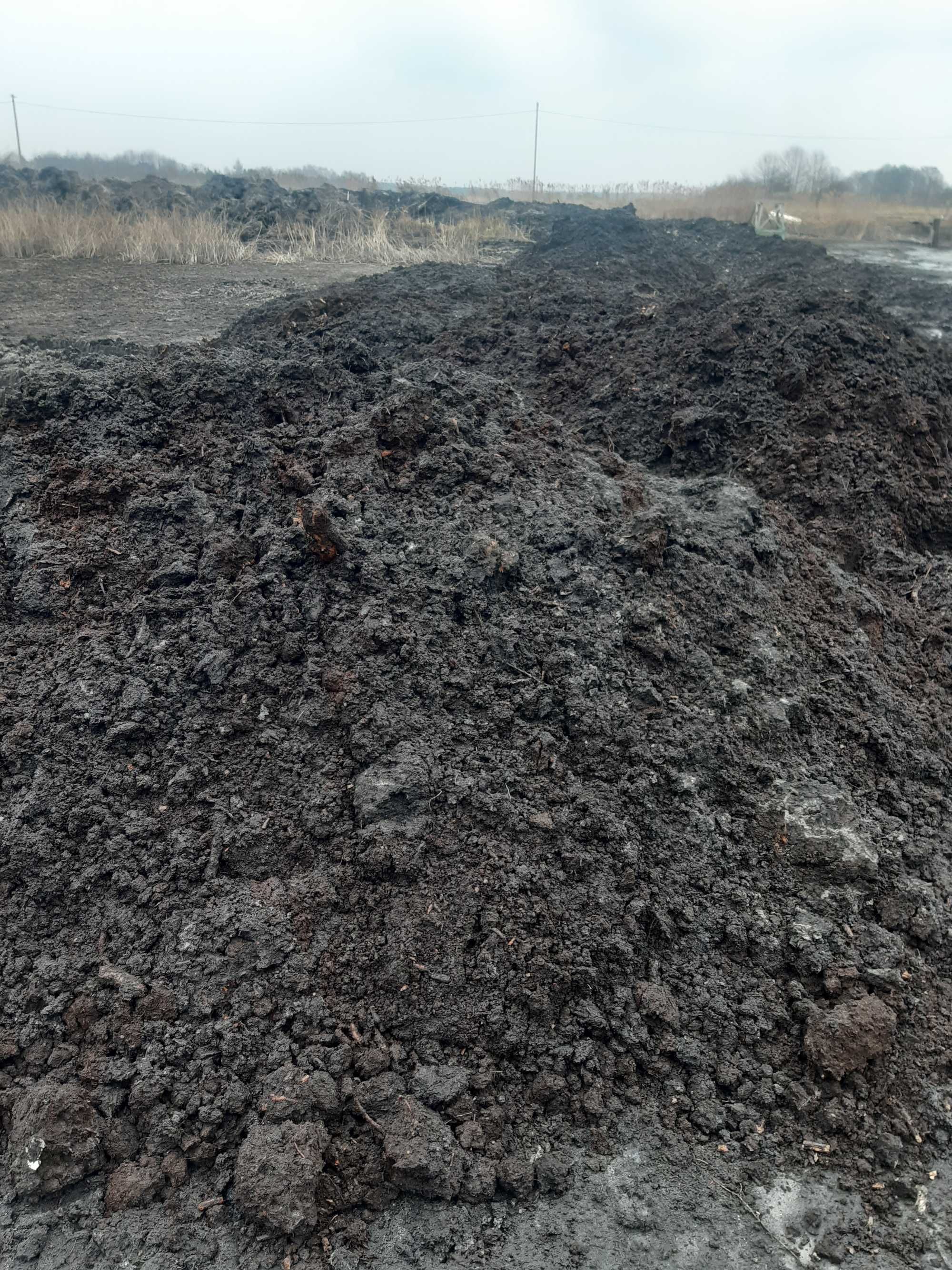 Ziemia ogrodowa ekologiczna podłoże humus