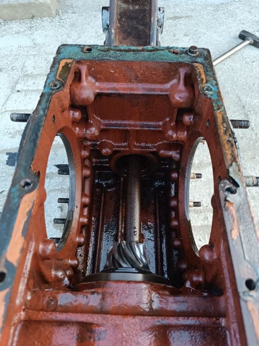 Most ursus ursus c330 i c328
