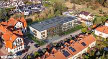 LOKAL USŁUGOWY 97 m²   - 8861 netto/m2 - Katowice Ligota-Panewniki