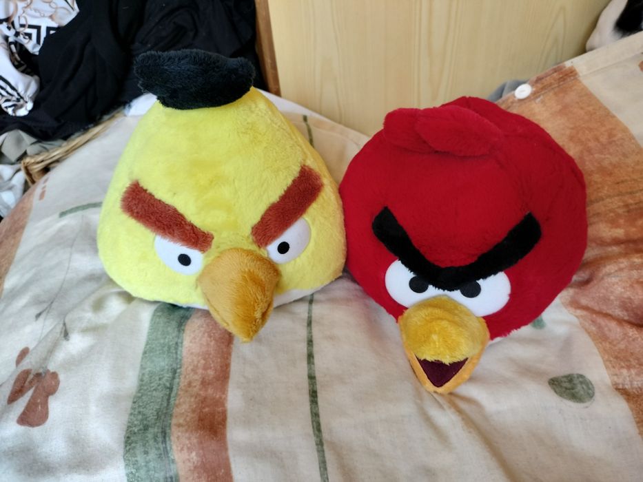 Ptaki angry birds