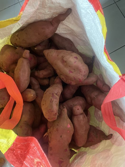 Batatas doces ao kg