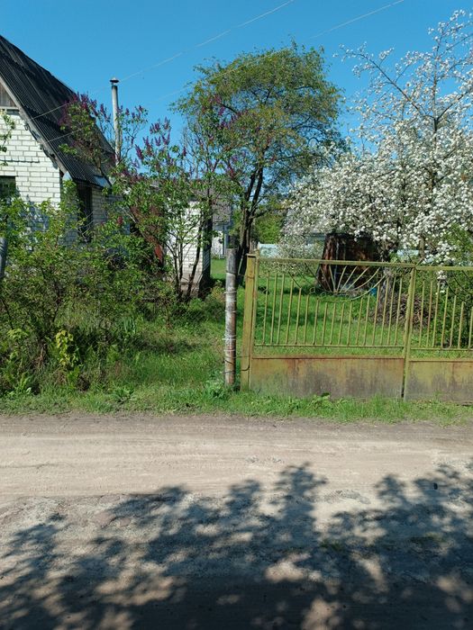 Продам дачу ст.Берізка м.Буча