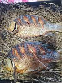 Риба печена в печі на сіні (соломе)