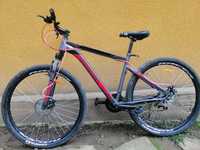 Discovery Rider ST 29