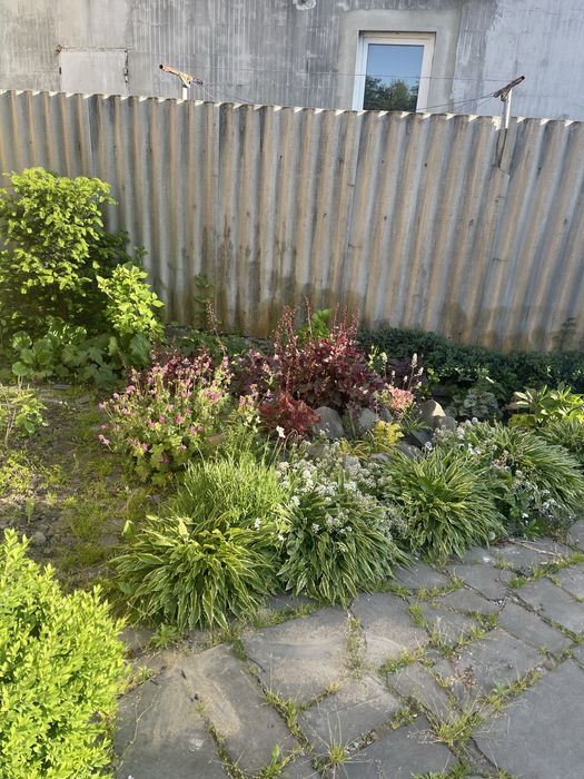 Здам в оренду частину будинку з окремим подвірям