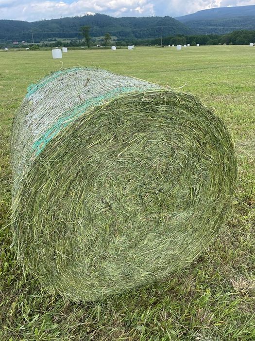 Sianokiszonka 2025, TRANSPORT, bele 130