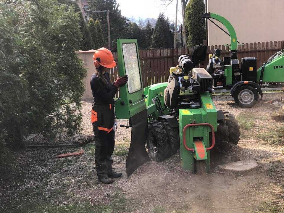 Frezowanie usuwanie pni korzeni karp karczowanie drzew frezarka