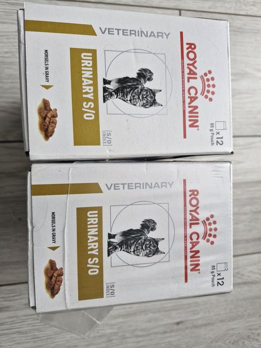 Karma mokra dla kota Royal canin urinary