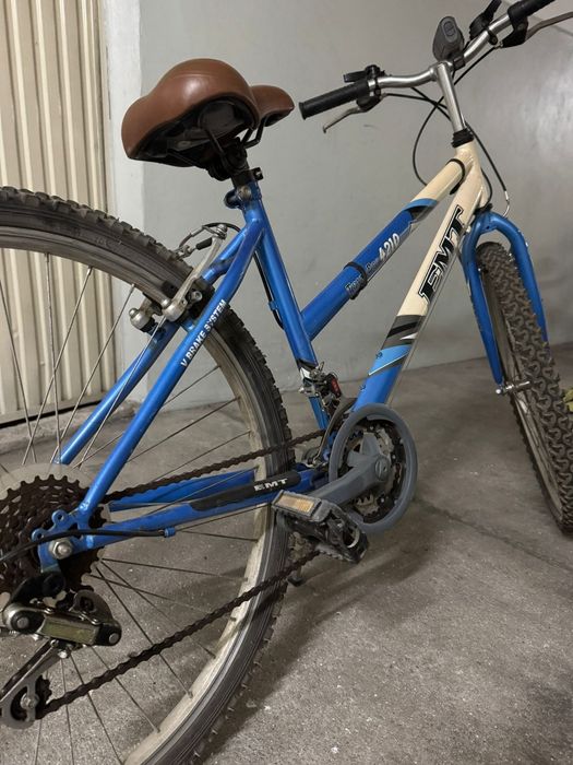 Bicicleta de montanha