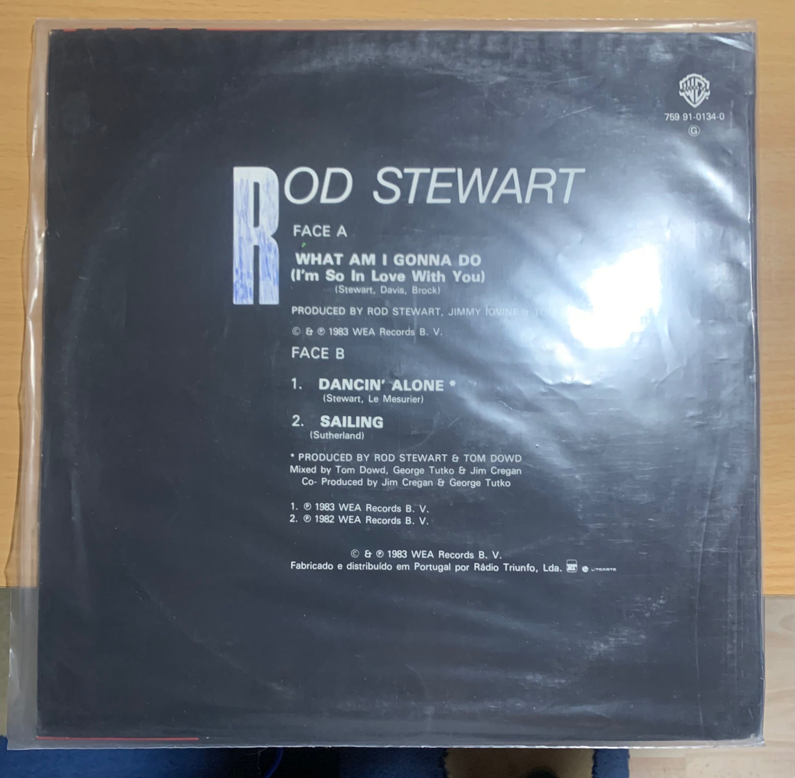 Rod Stwart LP vinil