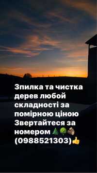 З пилка та чистка дерев любої  складності та косіння трави