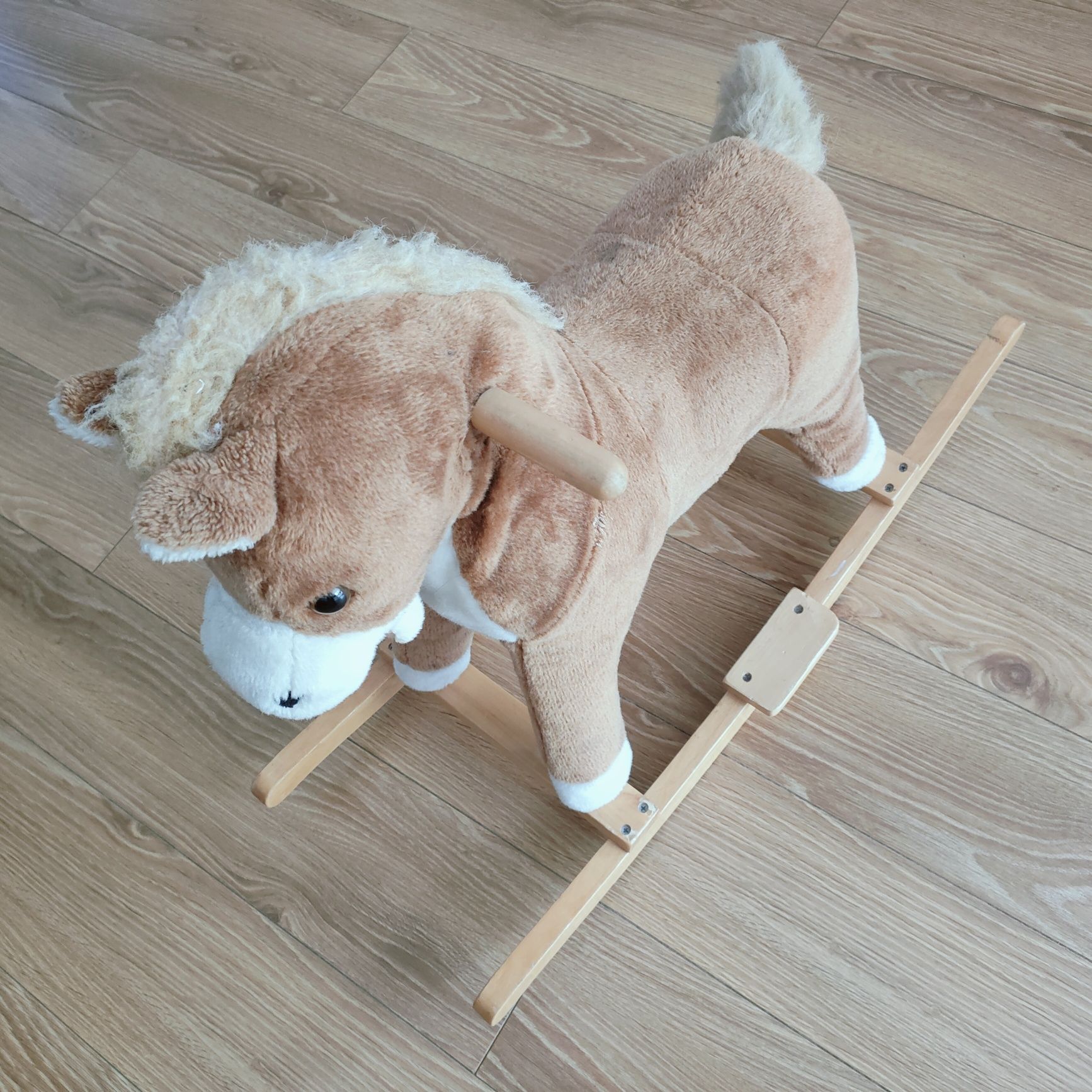 Konik na biegunach