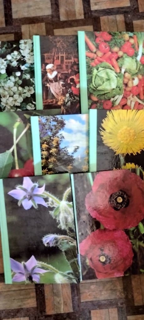 Enciclopédia as plantas nossas amigas