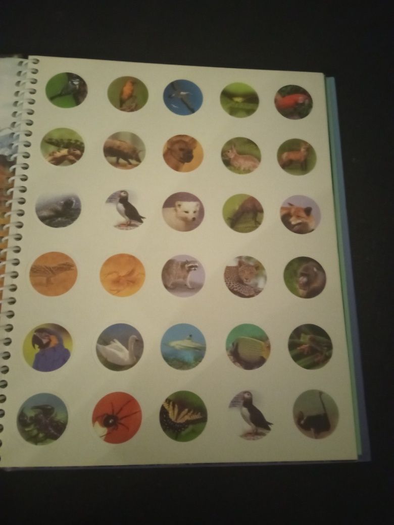Livro" O Mundo Animal" Usado