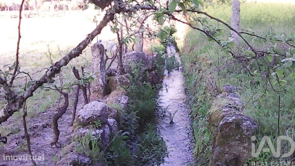 Terreno Agrícola em Moimenta da Serra e Vinhó de 2126,00 m2