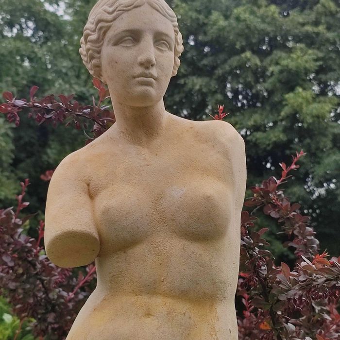 Rzeźba Ogrodowa Wenus