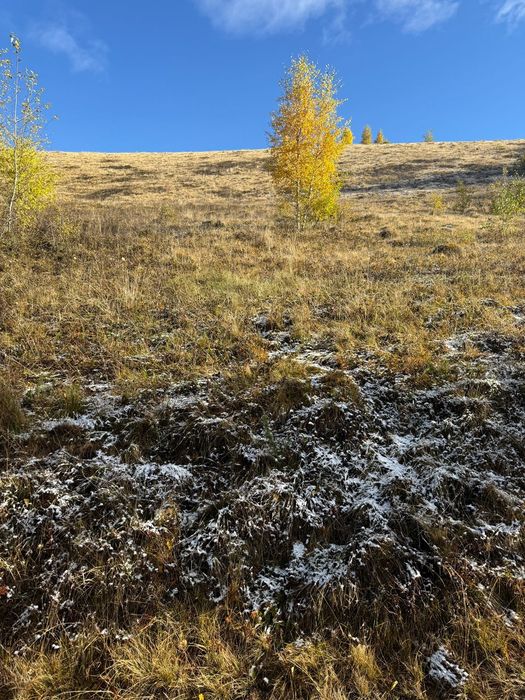 Ділянка біля Сховку під будову 22 сотки