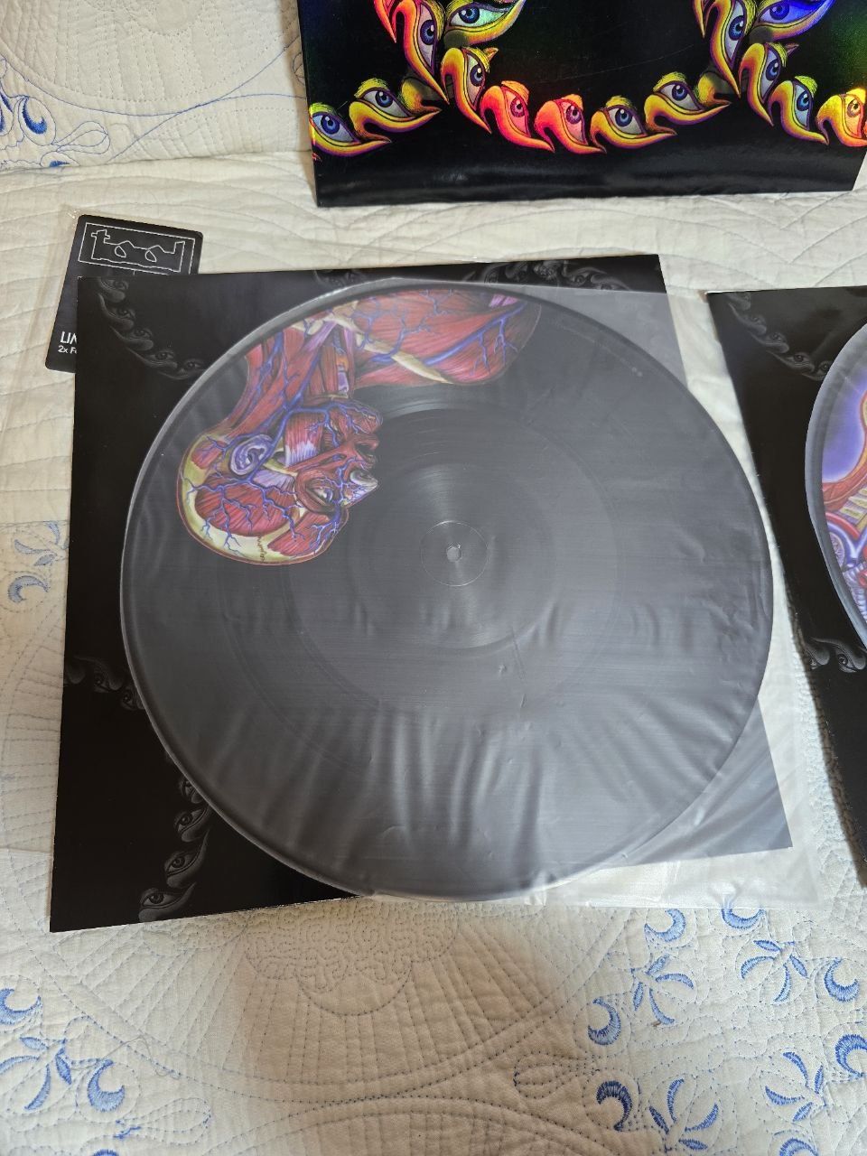 Tool Lateralus picture disk