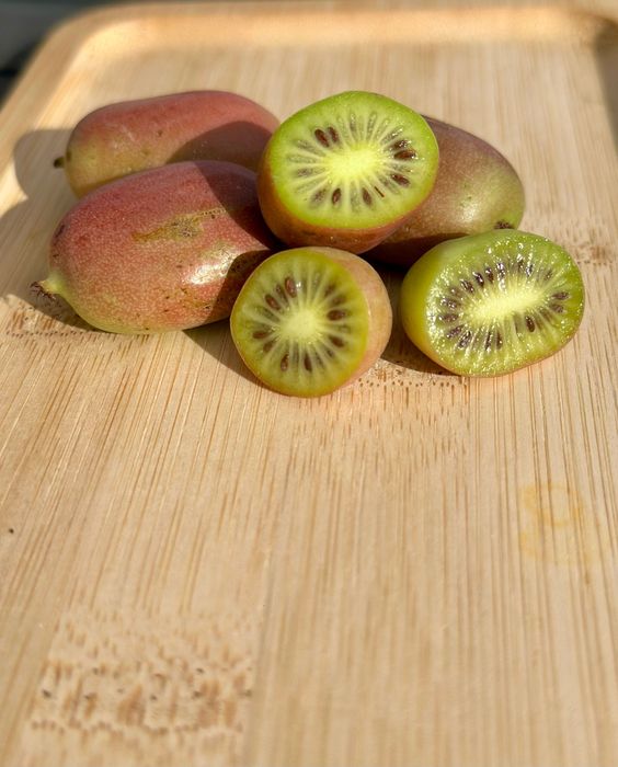 Mini kiwi – świeże owoce z małej plantacji