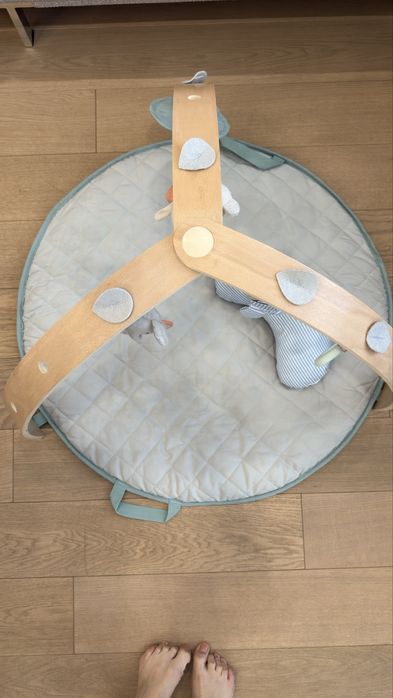 Розвиваючий килимок Ingenuity "Cozy Spot"