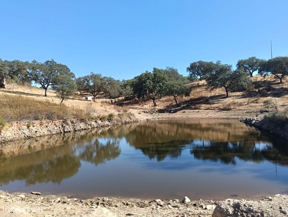 Herdade | Venda | Alentejo | Serpa