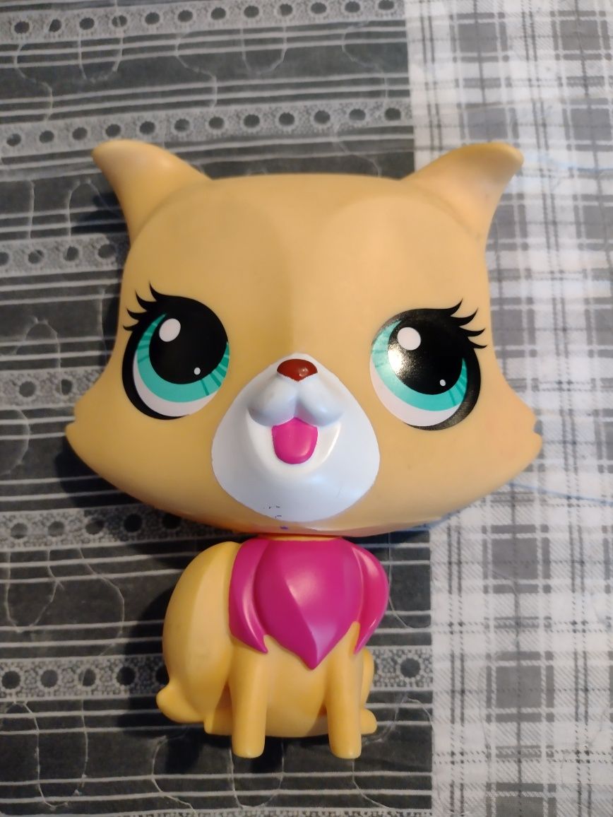 Duży littlest pet shop