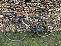 Kolarzowka battecchia