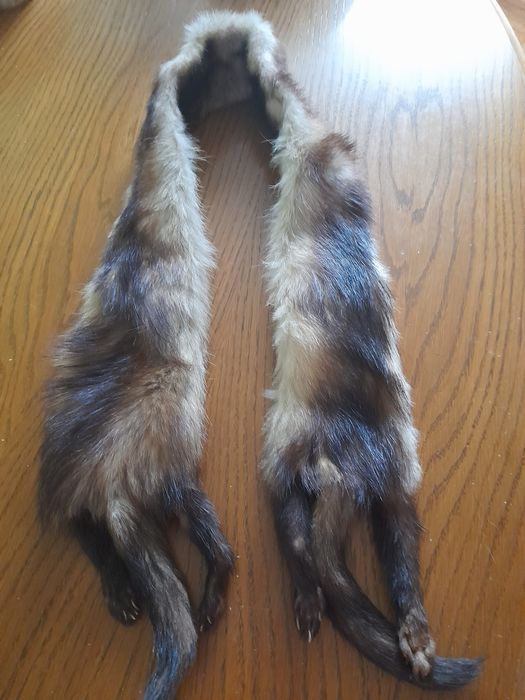 Komplet z norek. Czapka i szal.