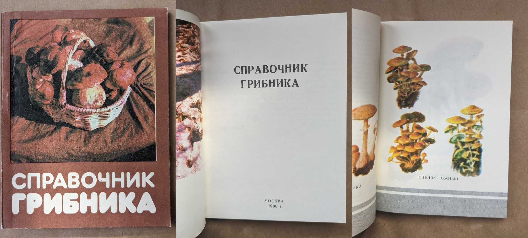 Пушкін Руслан та Людмила, Русские сказки Афанасьева, Die Märchen