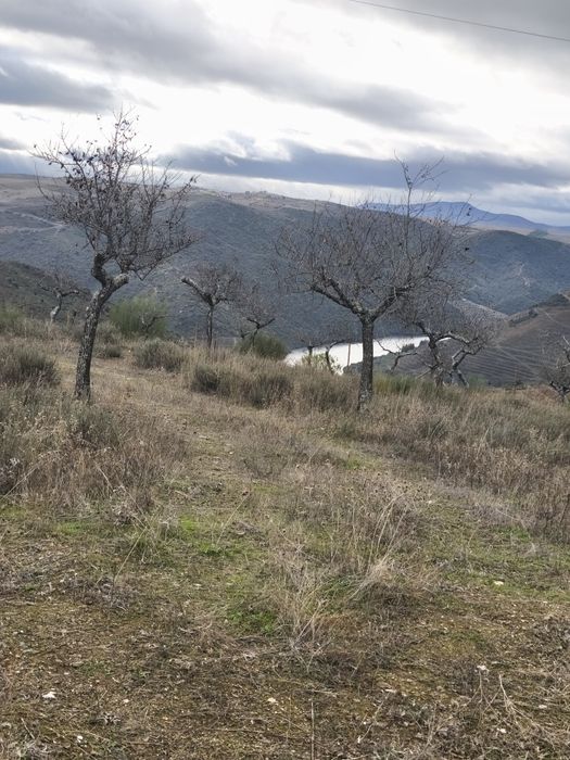 Terreno rústico em sequeiros