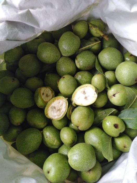 Sprzedam zielone orzechy włoskie  3 kg