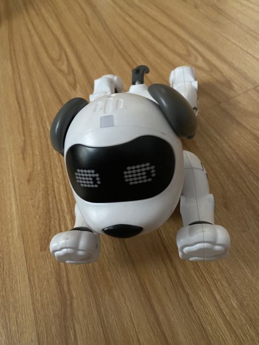 Cao robot  novo