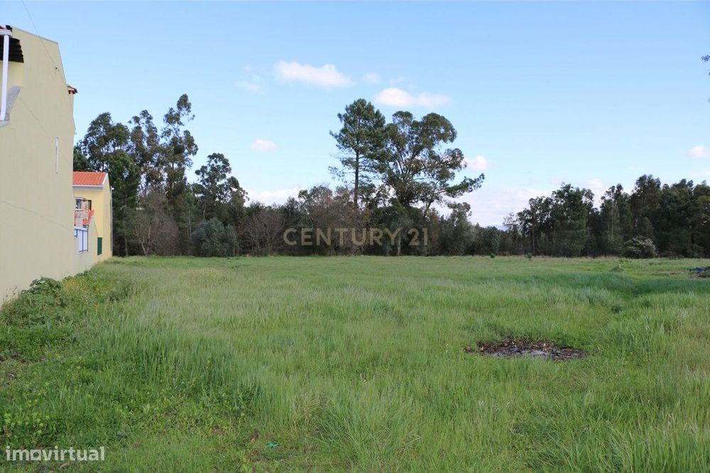 Terreno Para Construção | Oliveira Do Bairro | 1460M2