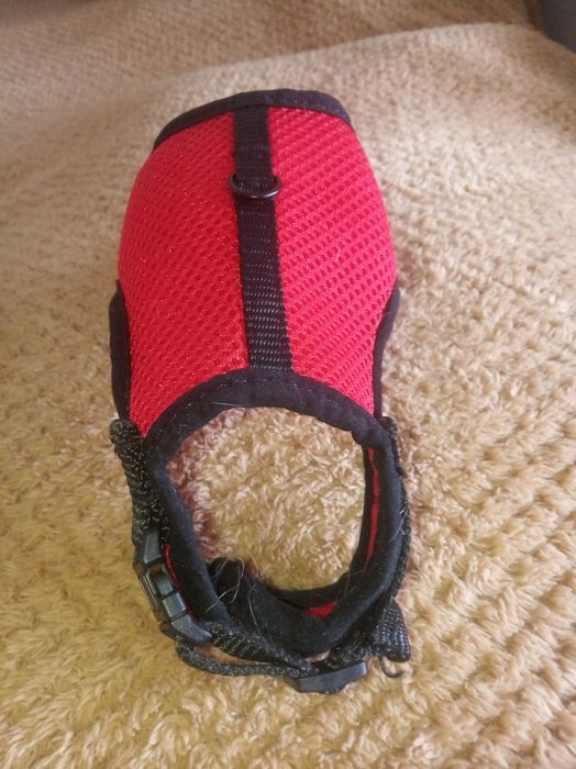 Шлея-жилетка для тваринки