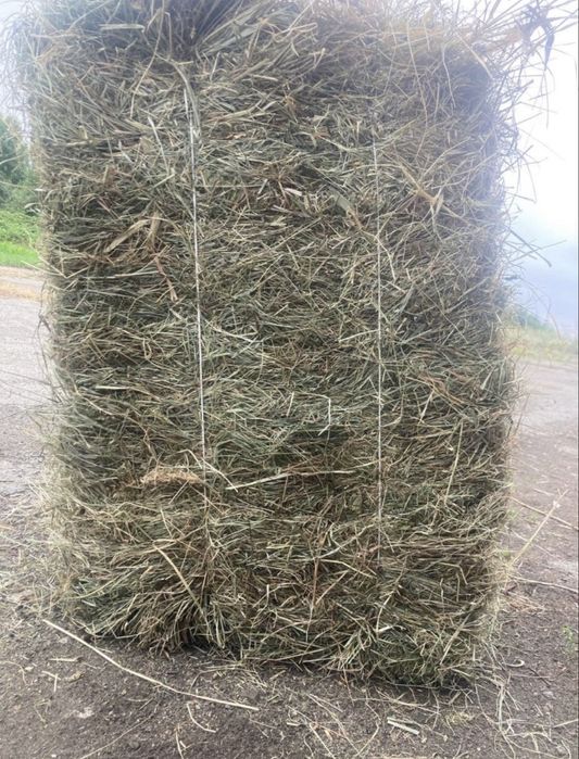 Продам тюки сіна