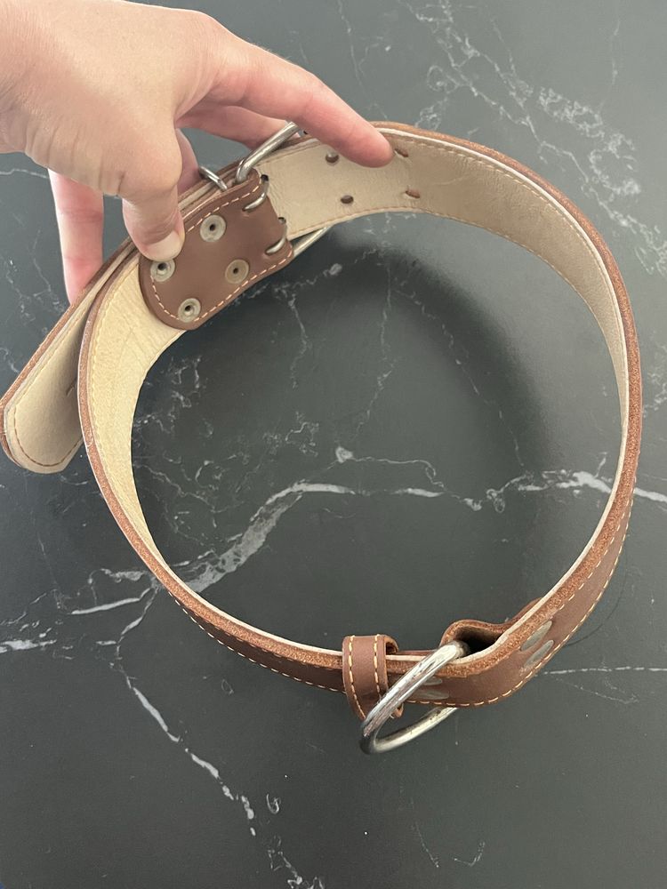 Шкіряний ошийник для великої собаки Collar