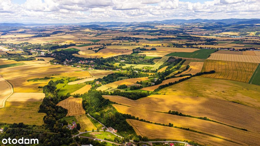 Kompleks działek w sercu Kotliny Kłodzkiej