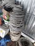 Kabel elektryczny  3 x 2.5